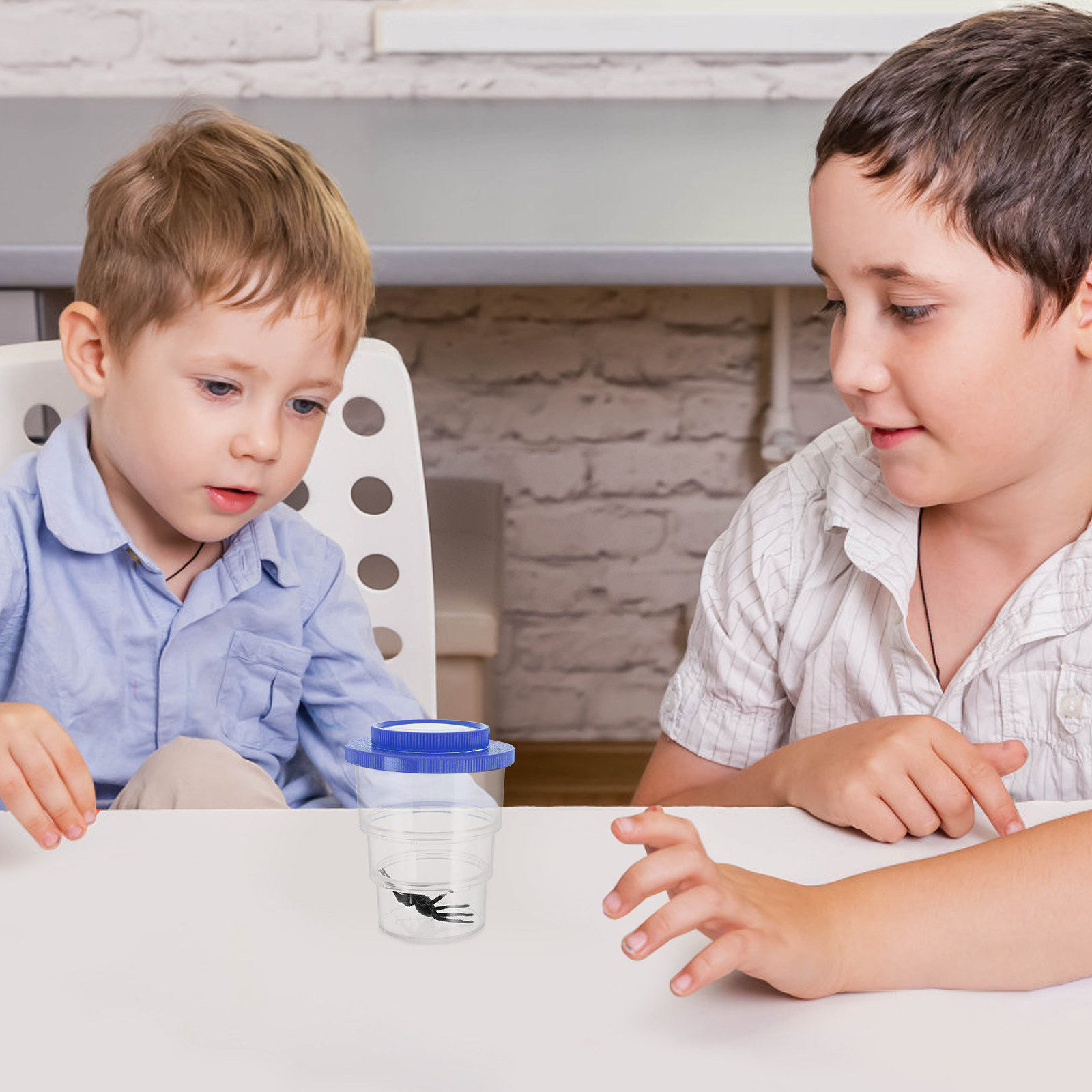 Science Toys - Scatola per l'Osservazione degli Insetti a