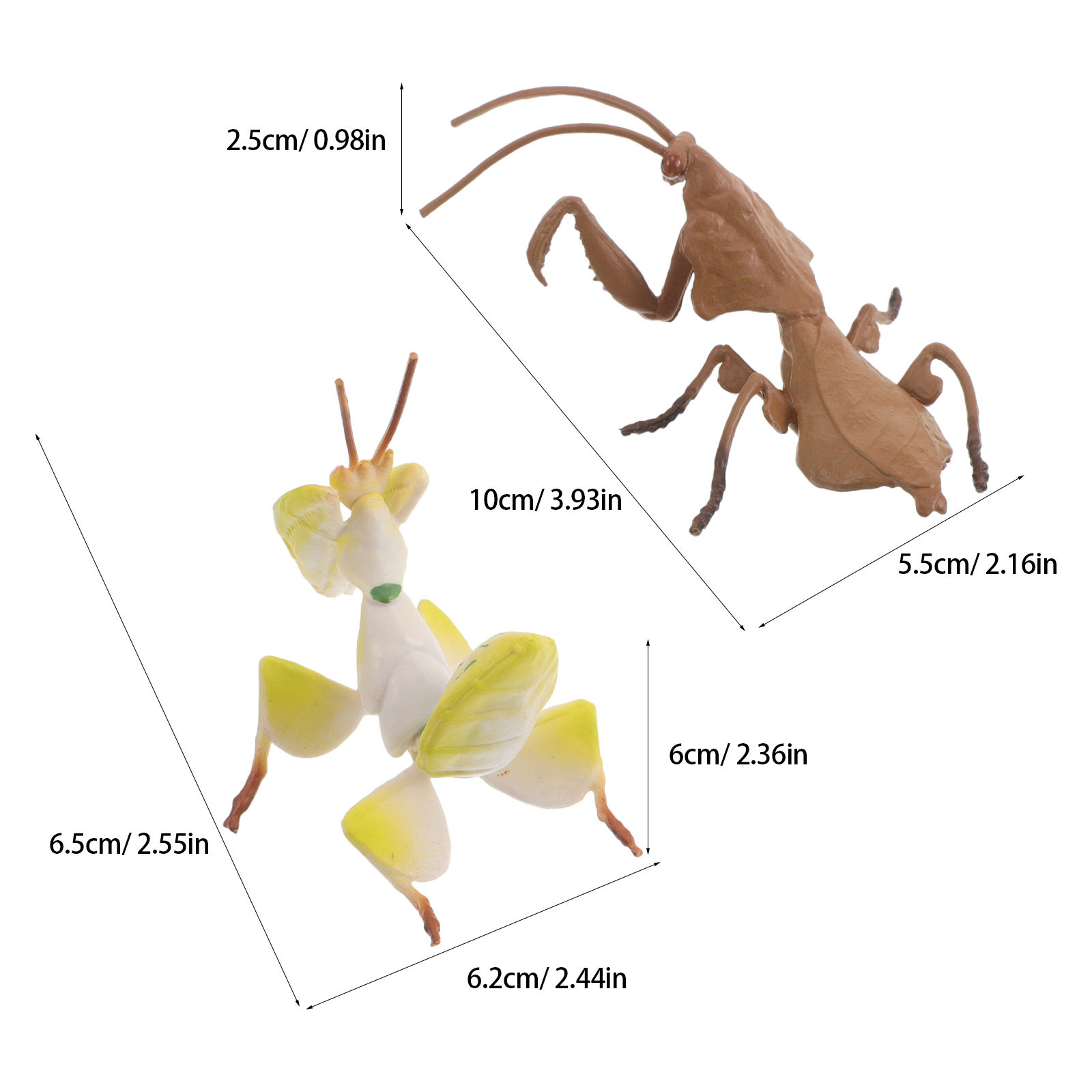 Set da 2 modelli realistici di - Science Toys recensione e prezzo
