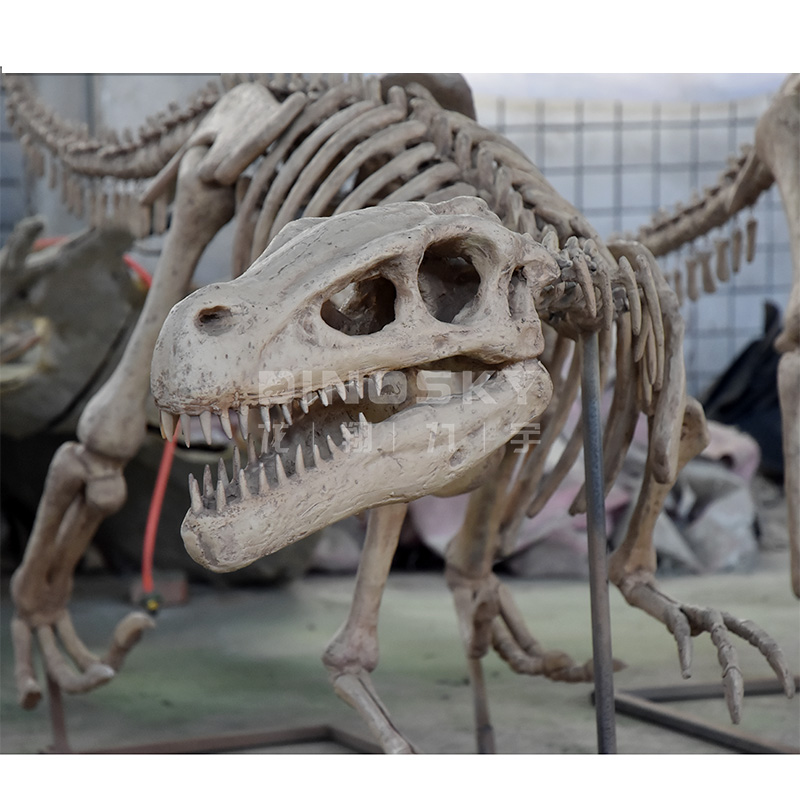 Modello di Scheletro di Dinosa - Science Exhibition Models recensione e prezzo